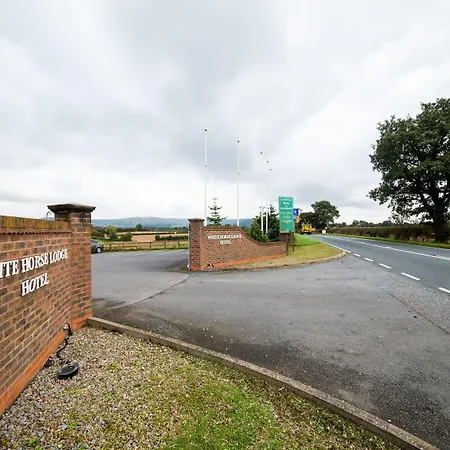 Hotel White Horse 3*