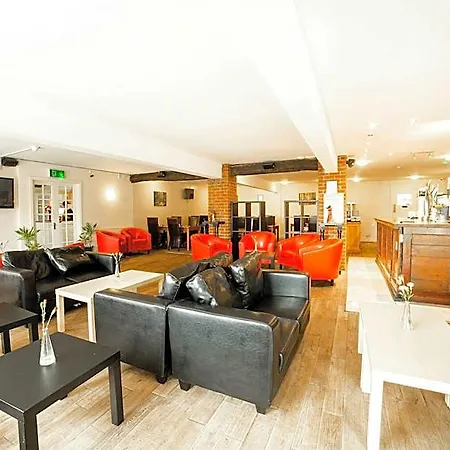 Oyo White Horse Hotel, East מלון