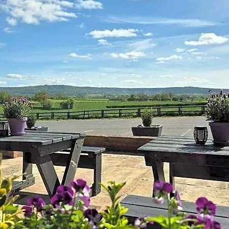 Oyo White Horse Hotel, East 3* 서스크