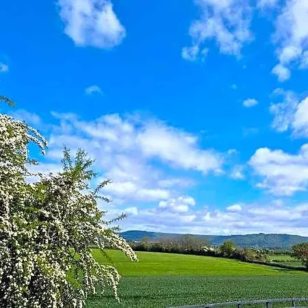 Oyo White Horse Hotel, East 3*
