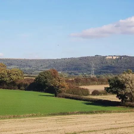 Oyo White Horse Hotel, East 酒店 3*